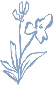 Graphic blue flower