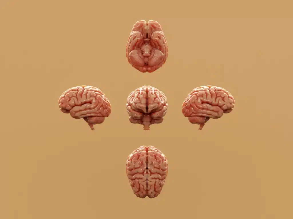 Neurodivergence photo