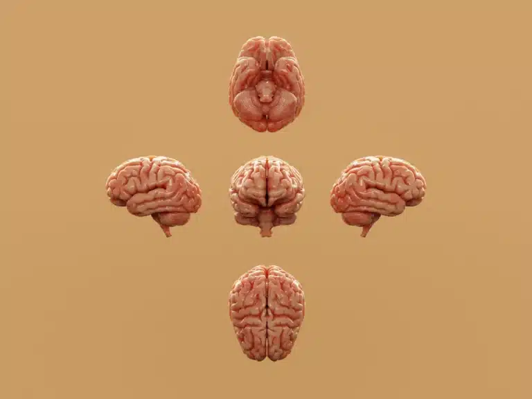 Neurodivergence photo